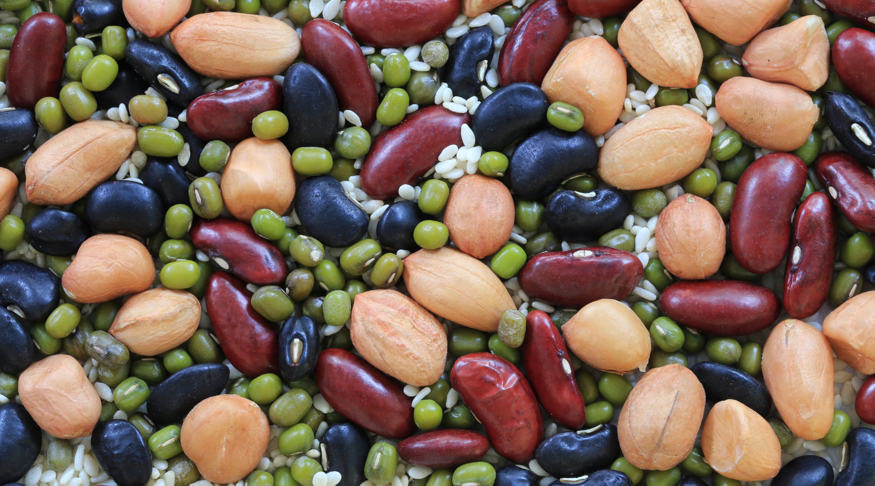 Why Your Gut Health is Actually Your Hormone Health (And Why We Need to Talk About Poo!)