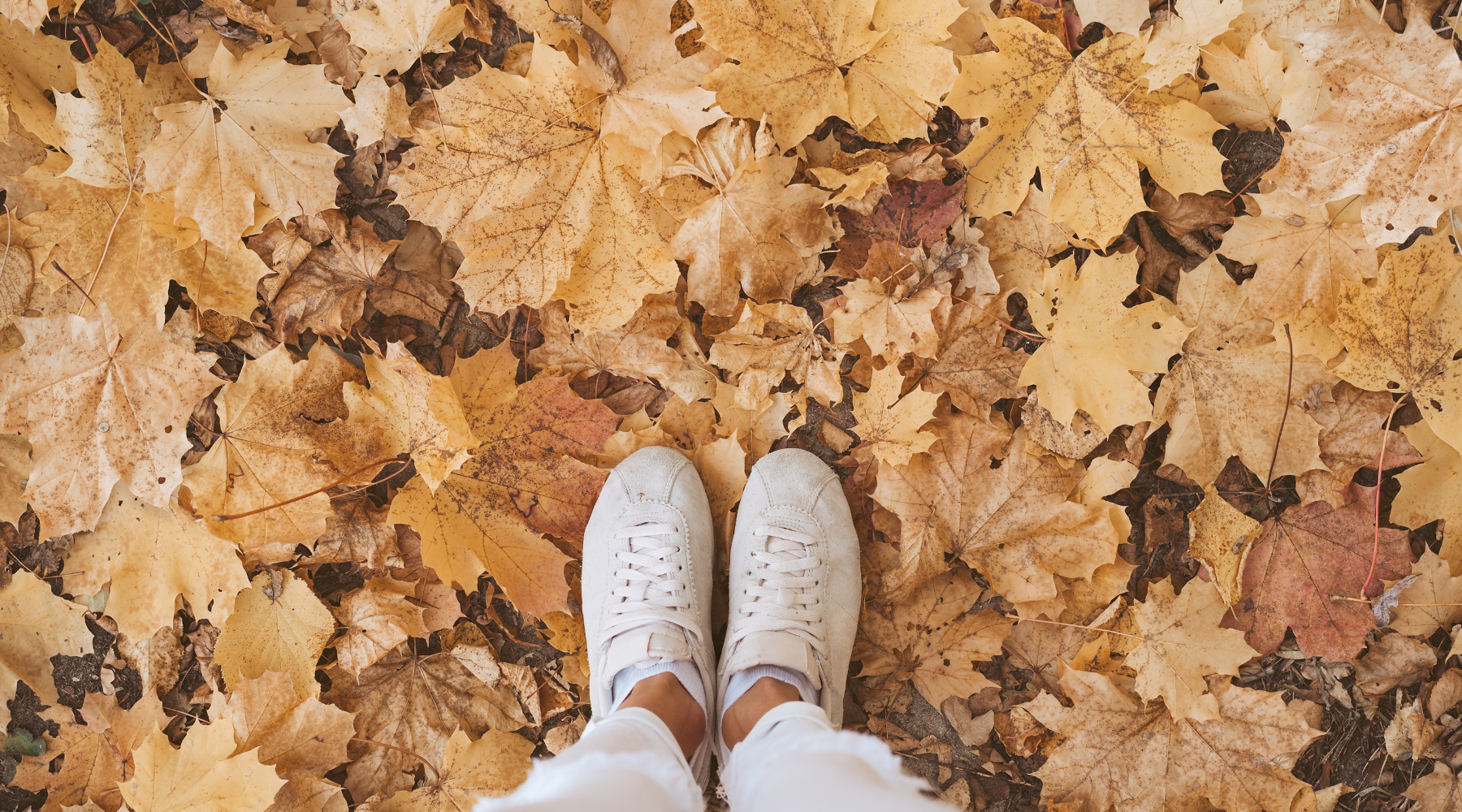 How Seasons Affect Your Period (And What Your Body Is Trying to Tell You)